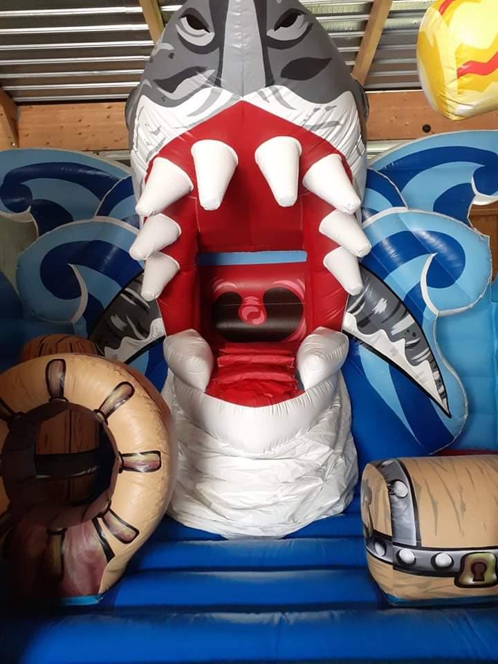 Requin 8